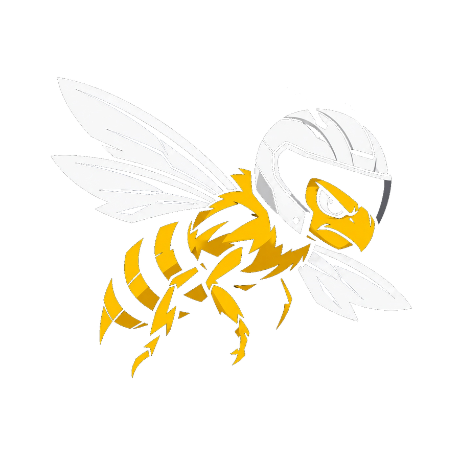 Super Bee