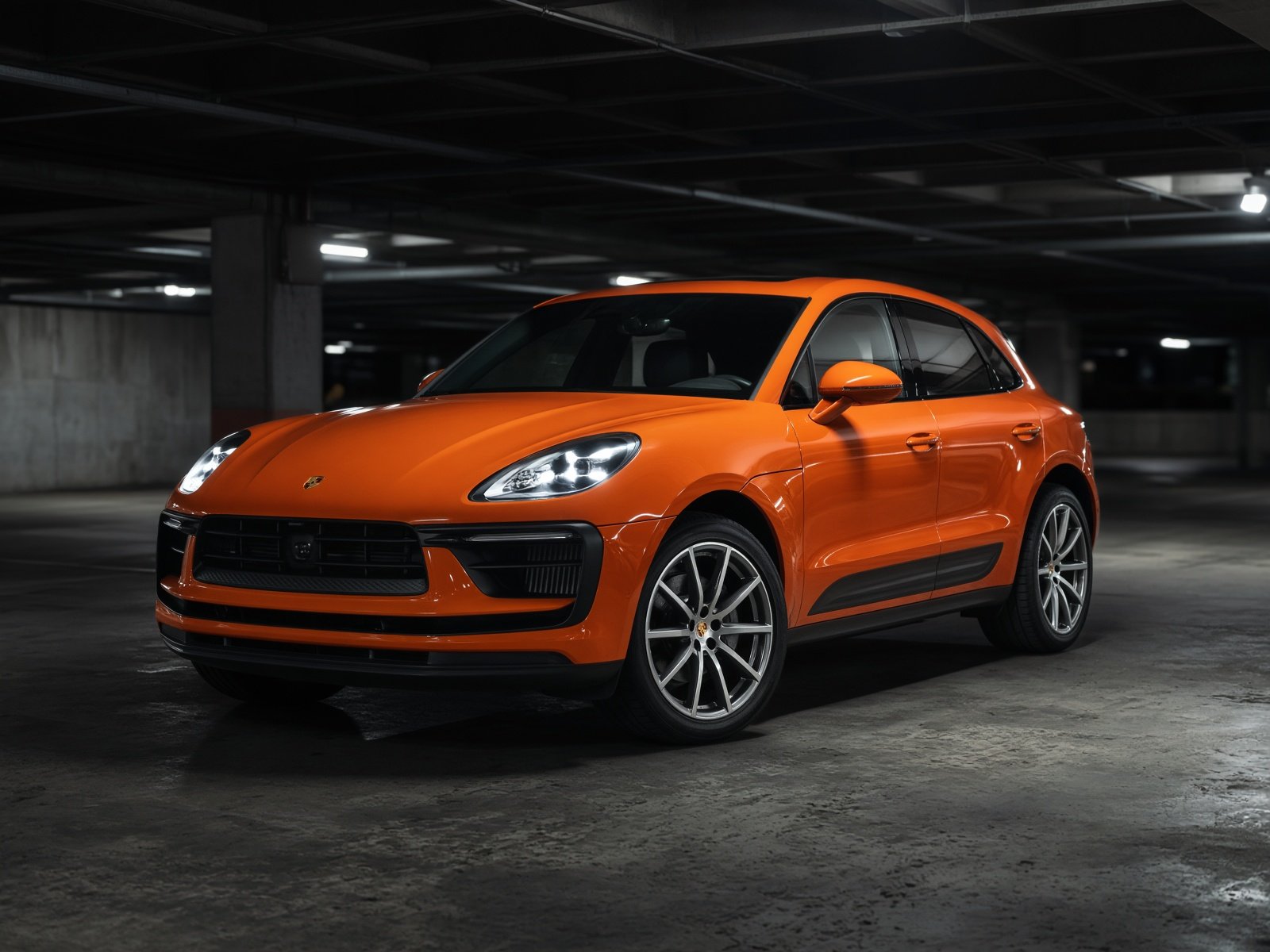 Macan
